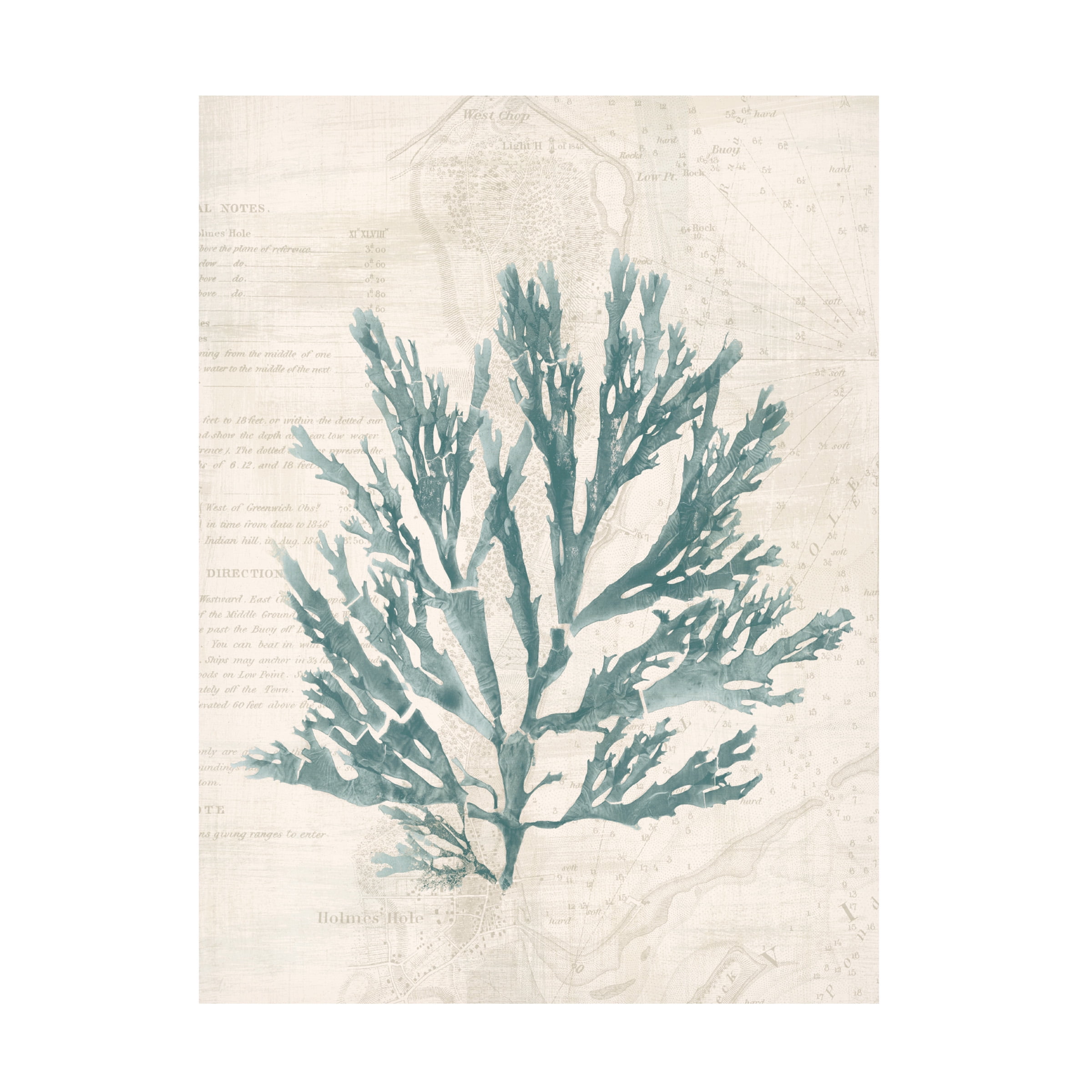 Wild Apple Portfolio 'Pacific Sea Mosses I Borderless' Canvas Art