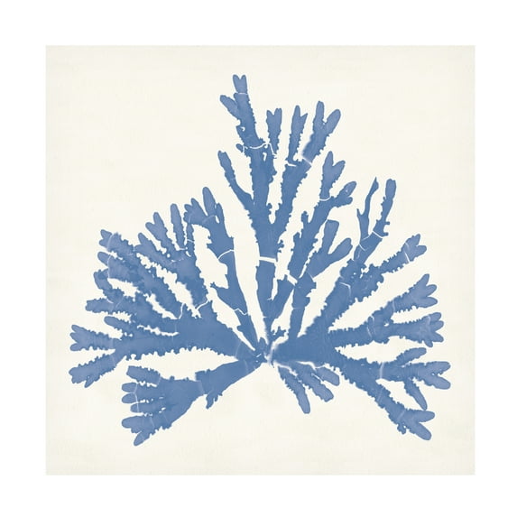 Wild Apple Portfolio 'Pacific Sea Mosses IV Light Blue' Canvas Art