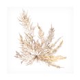 thumbnail image 1 of Wild Apple Portfolio 'Pacific Sea Mosses XII White Sq' Canvas Art, 1 of 3
