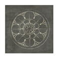 thumbnail image 1 of Wild Apple Portfolio 'Rosette III Gray' Canvas Art, 1 of 3
