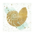 thumbnail image 1 of Wild Apple Portfolio 'Silver Sea Life Aqua Shell' Canvas Art, 1 of 3