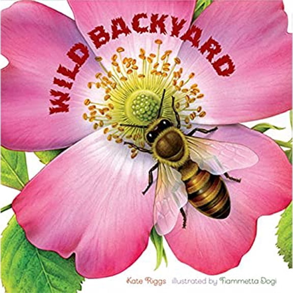 Pre-Owned Wild Backyard (Board book) 1568462875 9781568462875