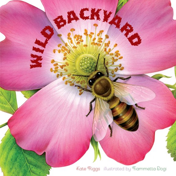 Pre-Owned Wild Backyard (Board book) 1568462875 9781568462875