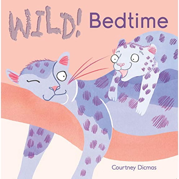 Pre-Owned Bedtime (Board book) 1846436877 9781846436871