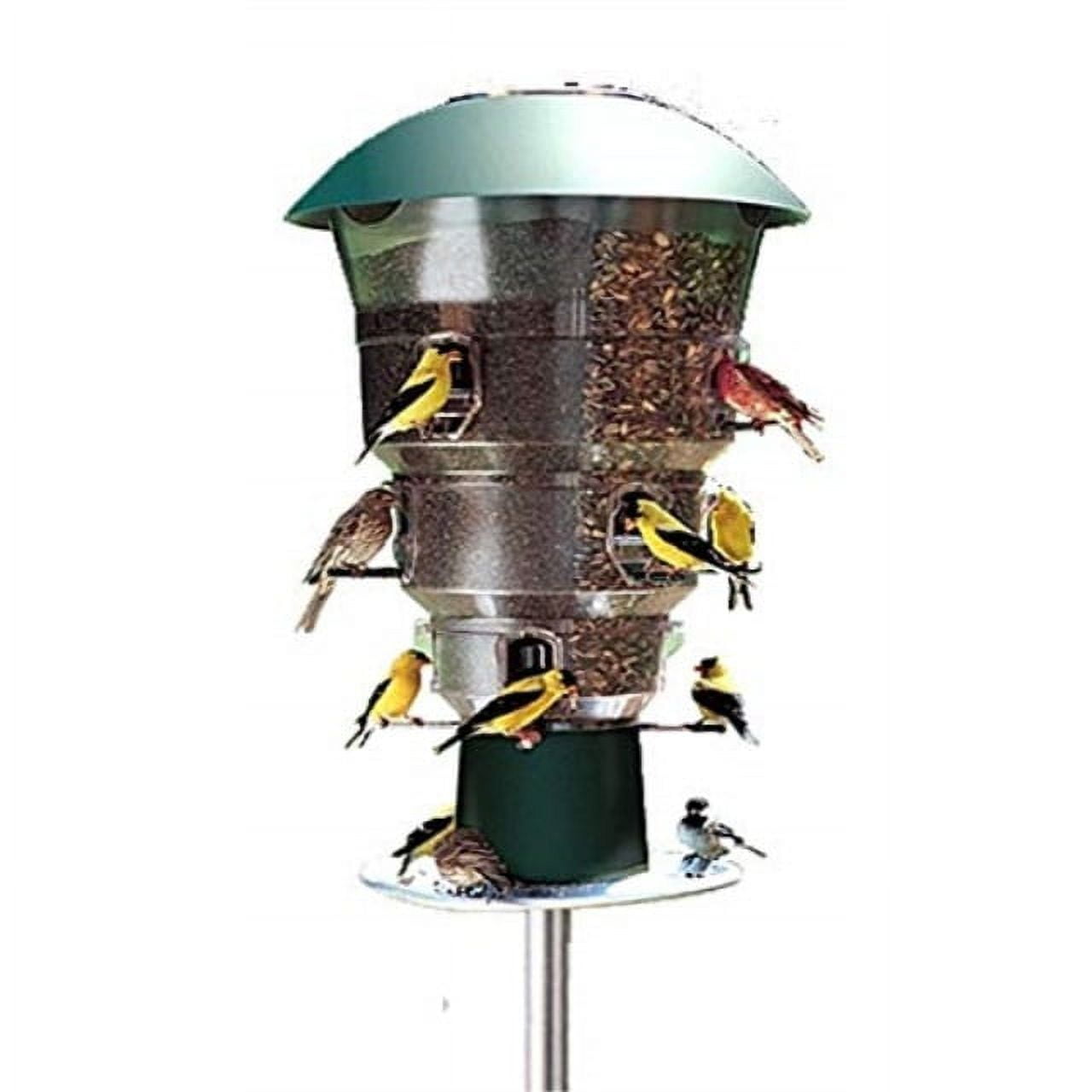 Green and Clear Squirrel Resistant Hanging Tube Bird Feeder