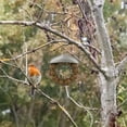Wild Bird Feeder Hanging Garden Yard Outside Decoration Bird Food