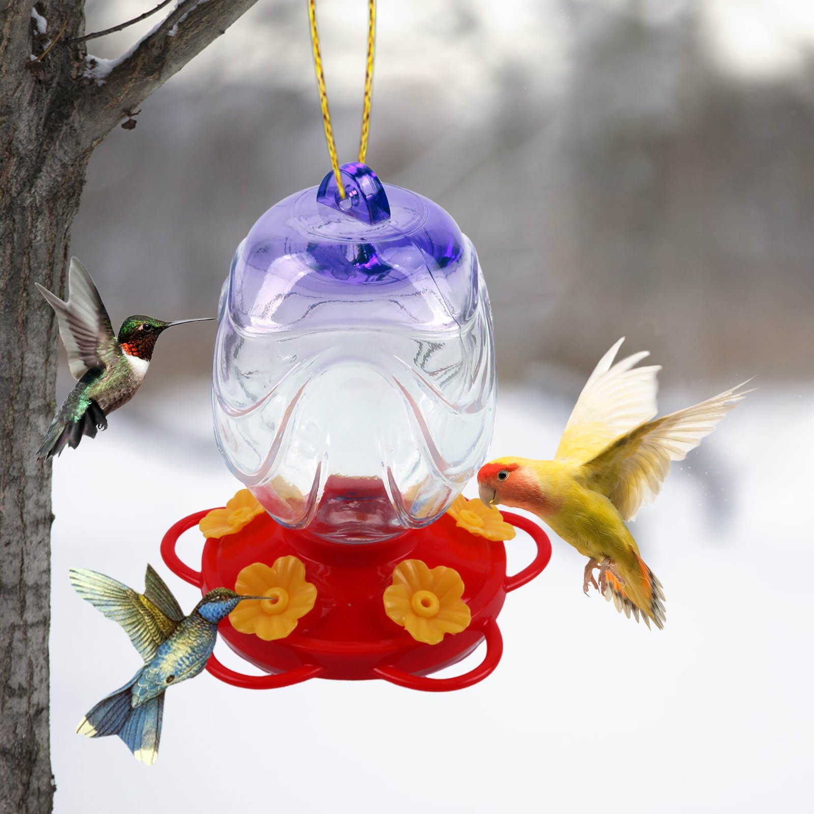Wild Bird Feeders,Bird Feeders for Outdoors,Glass Feeder Stained Glass Hummingbird Feeder Feeder,Window Bird Feeders for Outdoors,Bird House Pole for Garden Yard Decoration