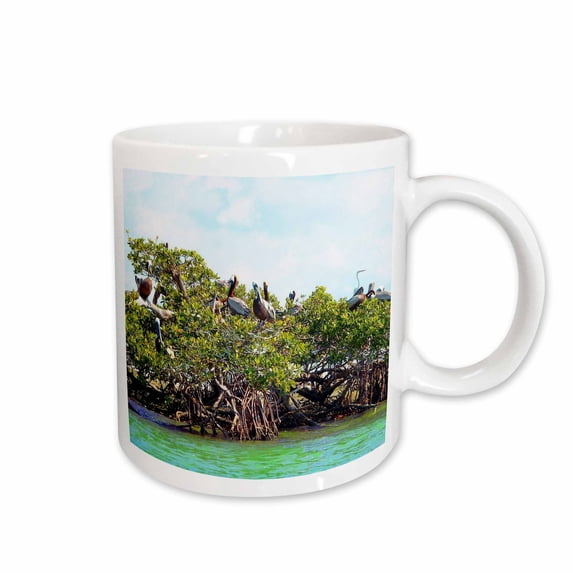 3drose, Wild Bird Habitat Florida Everglades, 11oz Mug