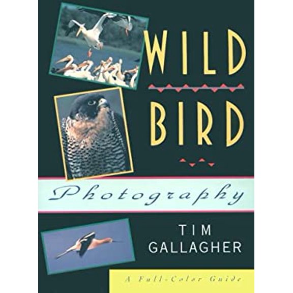 Pre-Owned Wild Bird Photography (Paperback) 1558213104 9781558213104