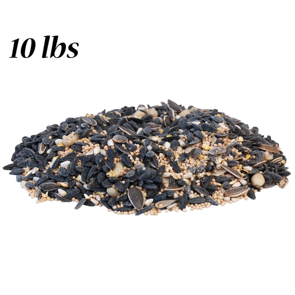 Wild Bird Seed Mix, Divine Blend, 10 lbs. - Premium Wild Bird Food with Black Oil Sunflower, Safflower, Peanuts & White Millet - High-Energy, Low-Waste Blend for Hopper, Tube & Platform Feeders