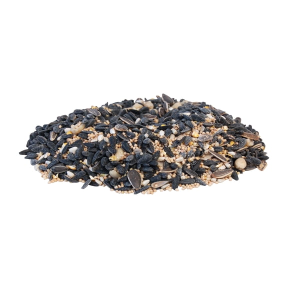 Divine Blend Wild Bird Seed Mix, 25 lbs - Premium Low-Waste Seed with 65% Black Oil Sunflower, Safflower, Millet & Peanuts, High-Energy Mix for Tube, Hopper & Platform Feeders, Carry Handle Bag