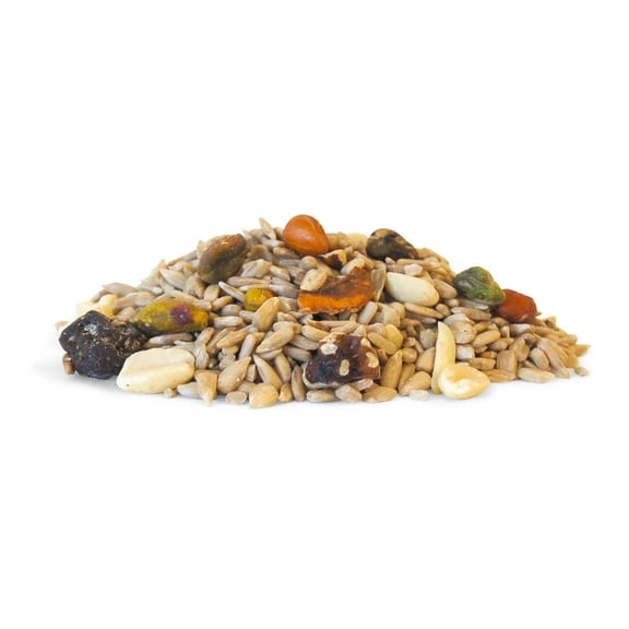 Wild Bird Seed Mix, Shell Free Fruit and Nut, 20 lbs.