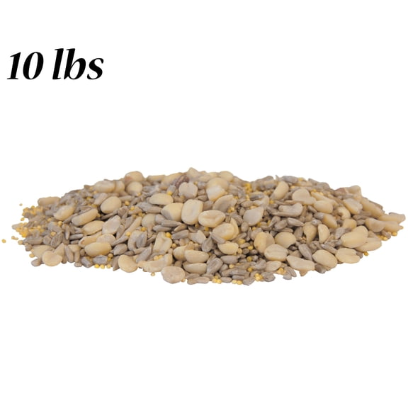 BestNest Wild Bird Seed Mix, Waste Free Blend, 10 lbs - Premium No-Filler Bird Food with Sunflower Chips & Peanuts - High-Energy, Mess-Free Mix for Tube, Hopper & Tray Feeders