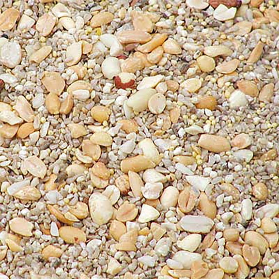 BestNest Wild Bird Seed Mix, Waste Free Blend, 50 lbs | Premium No-Waste Bird Seed for Wild Birds | Clean, Shell-Free Mix with Sunflower Hearts, Peanuts & Millet | 50 lb Bulk Bag for Feeders & Yards