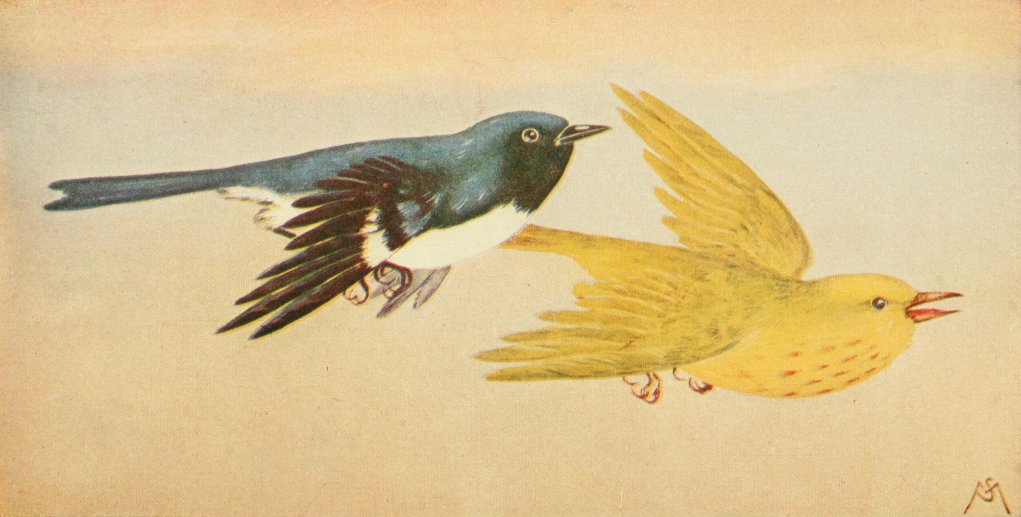 Wild Birds 1921 Blk-thrted & Ylw Warbler Canvas Art - F S-Mathews (24 x 36)