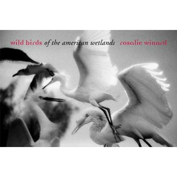 Pre-Owned Wild Birds of the American Wetlands (Hardcover) 1599620340 9781599620343