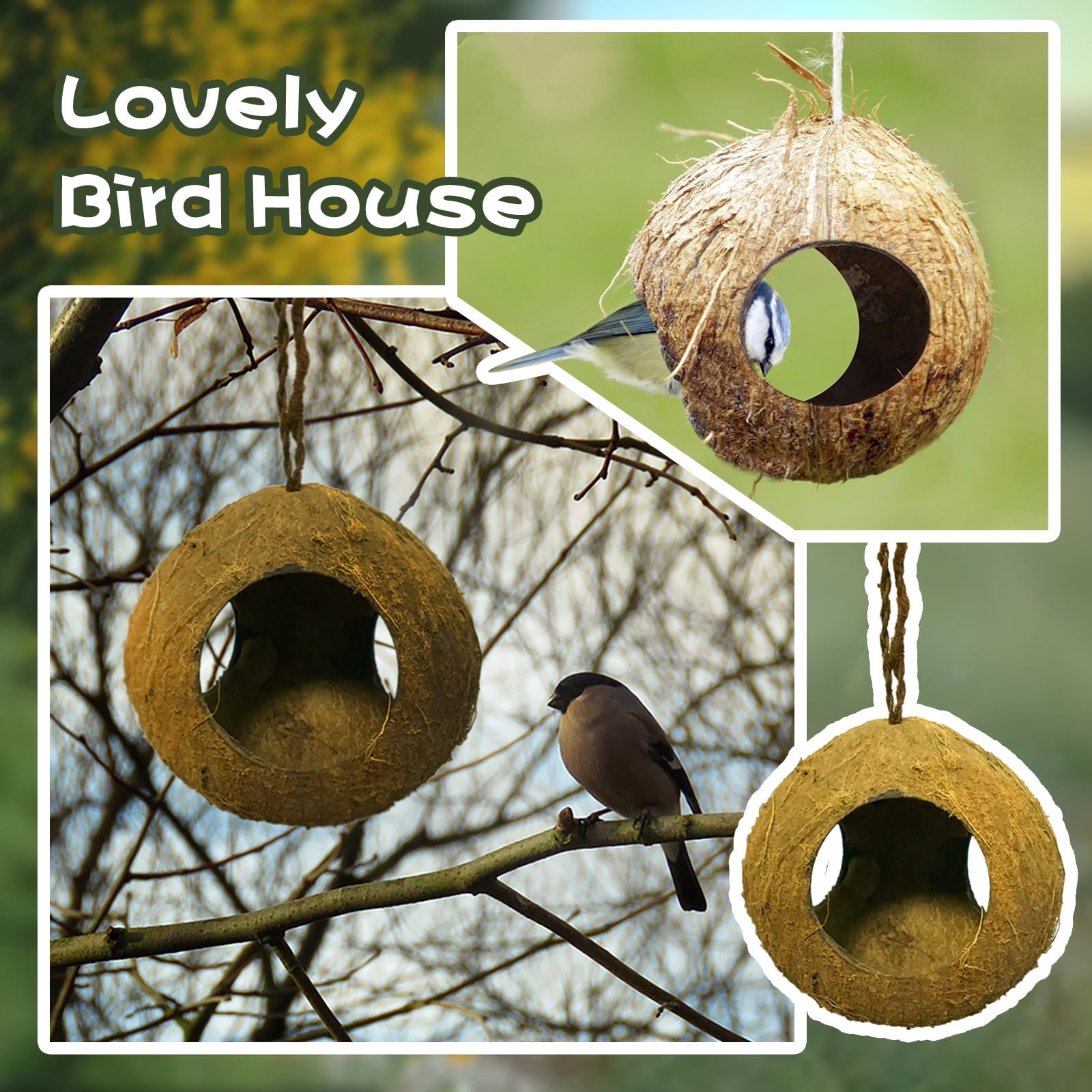 Wild Birdseed Wreath Chicken Roosting Bar for Coop Hummingbird Feeder