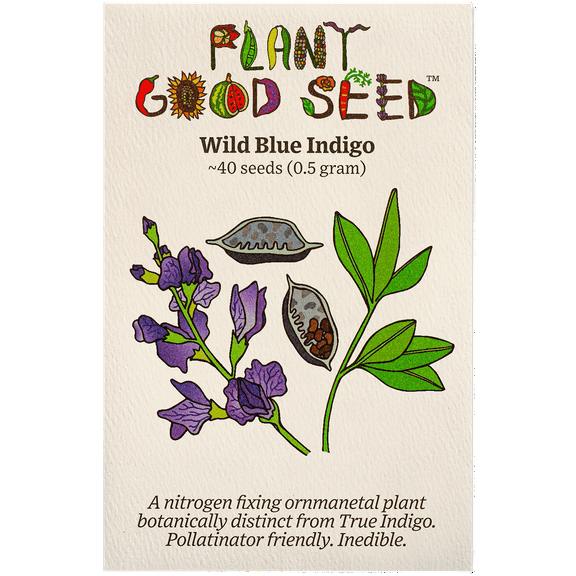 Plant Good Seed Wild Blue Indigo Seeds for Planting: 50 Seed Packet Perennial Blue Flowers Full Sun