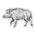 thumbnail image 1 of Wild Boar Drawing Sketch - 12" Vinyl Sticker Waterproof Decal, 1 of 1