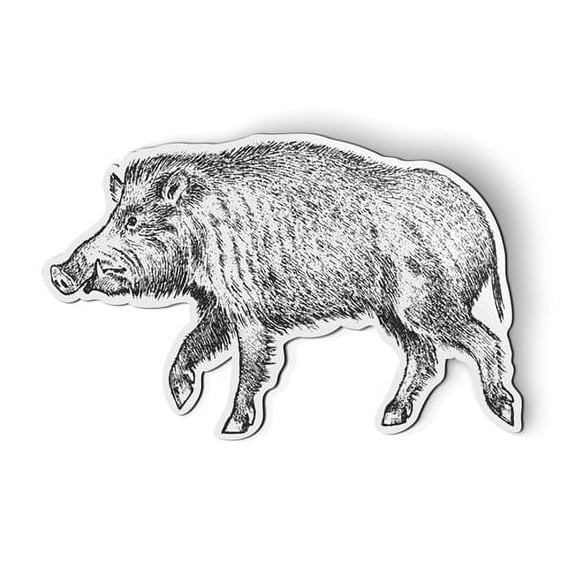 Wild Boar Drawing Sketch - 5" Magnet for Car Locker Refrigerator