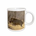 thumbnail image 1 of 3drose, Wild Boar, Ranthambhor National Park, India-as10 Jra0152 - Jagdeep Rajput, 11oz Mug, 1 of 6