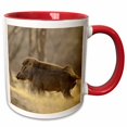 thumbnail image 1 of 3drose, Wild Boar, Ranthambhor National Park, India-as10 Jra0152 - Jagdeep Rajput, 11oz Two-tone Red Mug, 1 of 6