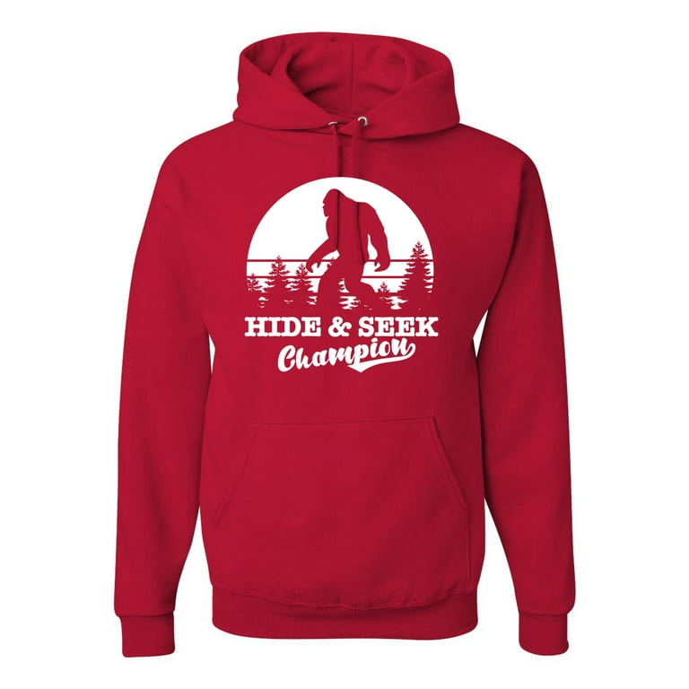 Champion novelty graphic hoodie hot sale