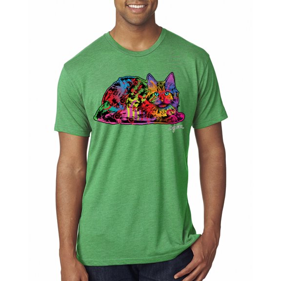 Wild Bobby, Colorful Rainbow Cat Animal Lover Mens Premium Tri Blend T-Shirt, Envy, Medium