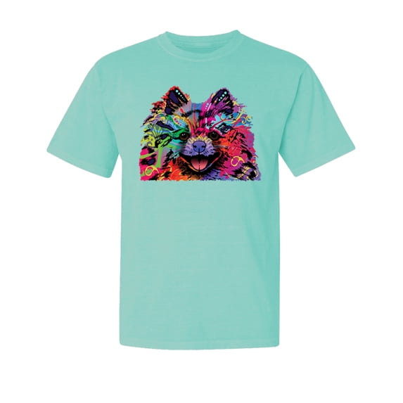 Wild Bobby,Colorful Rainbow Pomeranian Dog Dog Lover Garment-Dyed Washed Look Short Sleeve Tees, Mint, Large