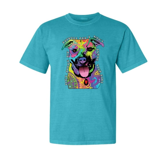 Wild Bobby,Don't Judge My Pitbull I Won't Judge Your Kids Funny Dog Lover Garment-Dyed Washed Look Short Sleeve Tees, Blue Lagoon, Small