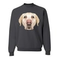 thumbnail image 1 of Wild Bobby, Golden Retriever Cute Gift, Dog Lover, Unisex Crewneck Graphic Sweatshirt, Charcoal, Small, 1 of 4