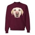 thumbnail image 1 of Wild Bobby, Golden Retriever Cute Gift, Dog Lover, Unisex Crewneck Graphic Sweatshirt, Maroon, X-Large, 1 of 4