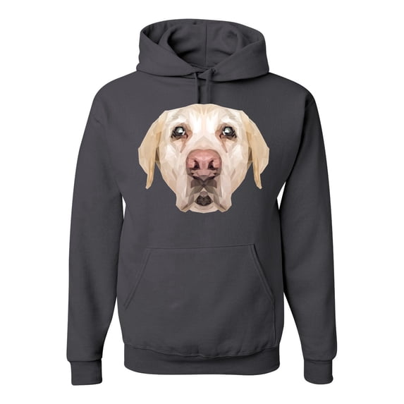 Wild Bobby, Golden Retriever Cute Gift, Dog Lover, Unisex Graphic Hoodie Sweatshirt, Charcoal, XX-Large