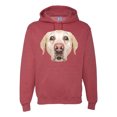 thumbnail image 1 of Wild Bobby, Golden Retriever Cute Gift, Dog Lover, Unisex Graphic Hoodie Sweatshirt, Vintage Heather Red, X-Large, 1 of 4