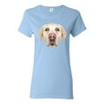thumbnail image 1 of Wild Bobby, Golden Retriever Cute Gift, Dog Lover, Women Graphic Tee, Light Blue, Small, 1 of 4