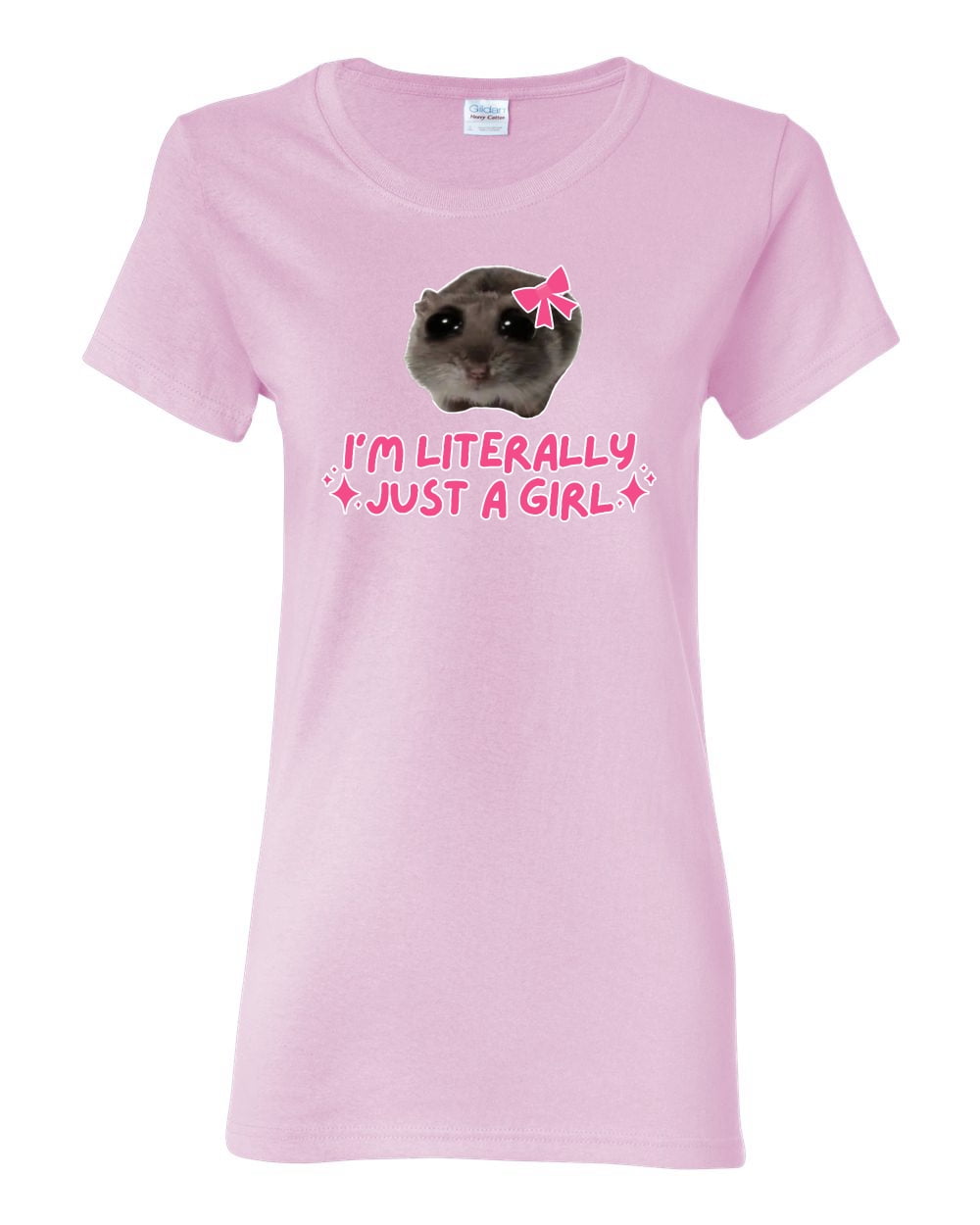 Just A Girl Who Loves Hedgehog And Christmas Hedgehog Women T-Shirt Just A Girl Who Loves Hedgehog And Christmas Hedgehog Women T-Shirt