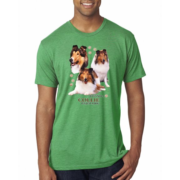 Wild Bobby, If It's Not a Collie It's Just a Dog Gift | Mens Dog Lover Premium Tri Blend T-Shirt, Envy, X-Large