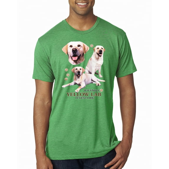 Wild Bobby, If It's Not a Yellow Lab It's Just a Dog Gift | Mens Dog Lover Premium Tri Blend T-Shirt, Envy, X-Large