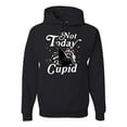 thumbnail image 1 of Wild Bobby Not Today Cupid Cute Funny Trash Panda Meme Valentine's Day Unisex Hoodie Sweatshirt, 1 of 6