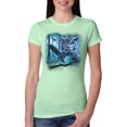 thumbnail image 1 of Wild Bobby, Owl Flying at Nihght In Front of the Moon Animal Lover Womens Slim Fit Junior Tee, Mint, Small, 1 of 3