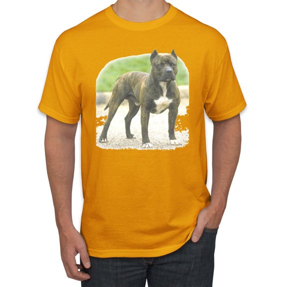 Wild Bobby, Pitbull Dog Animal Pet Lover, Dog Lover, Men's Graphic Tees, Gold, X-Large