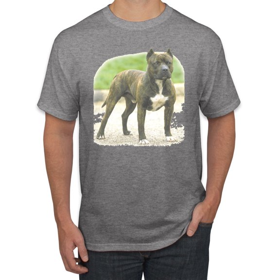 Wild Bobby, Pitbull Dog Animal Pet Lover, Dog Lover, Men's Graphic Tees, Heather Grey, Medium