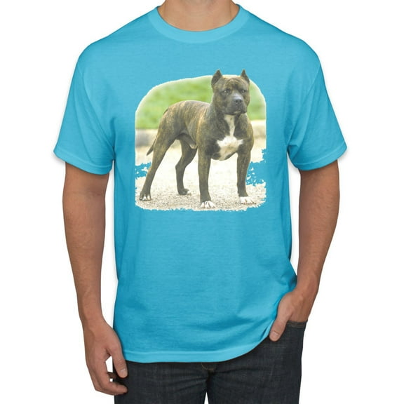 Wild Bobby, Pitbull Dog Animal Pet Lover, Dog Lover, Men's Graphic Tees, Light Turquoise, X-Large