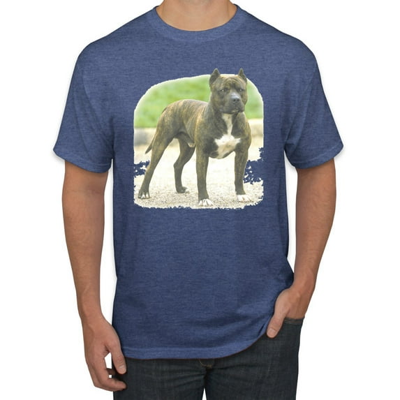 Wild Bobby, Pitbull Dog Animal Pet Lover, Dog Lover, Men's Graphic Tees, Vintage Heather Blue, 3XL