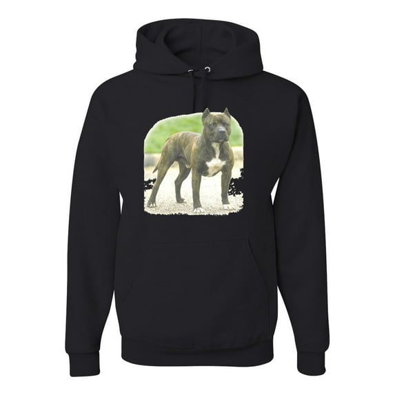 Wild Bobby, Pitbull Dog Animal Pet Lover, Dog Lover, Unisex Graphic Hoodie Sweatshirt, Black, Small