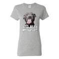 thumbnail image 1 of Wild Bobby, Pitbull to all Haters Funny, Animal Lover, Women Graphic Tee, Heather Grey, Medium, 1 of 4