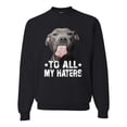 thumbnail image 1 of Wild Bobby, Pitbull to all the Haters Funny, Animal Lover, Unisex Crewneck Graphic Sweatshirt, Black, Medium, 1 of 4