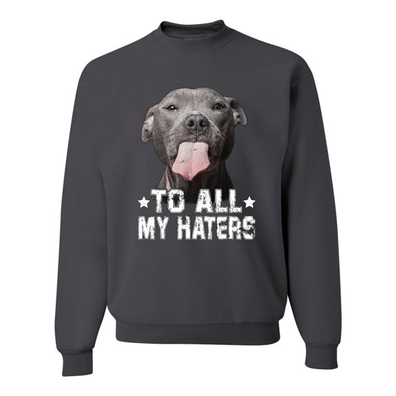 Wild Bobby, Pitbull to all the Haters Funny, Animal Lover, Unisex Crewneck Graphic Sweatshirt, Charcoal, X-Large