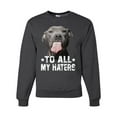 thumbnail image 1 of Wild Bobby, Pitbull to all the Haters Funny, Animal Lover, Unisex Crewneck Graphic Sweatshirt, Heather Black, Large, 1 of 4