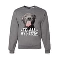 thumbnail image 1 of Wild Bobby, Pitbull to all the Haters Funny, Animal Lover, Unisex Crewneck Graphic Sweatshirt, Heather Grey, 3X-Large, 1 of 4